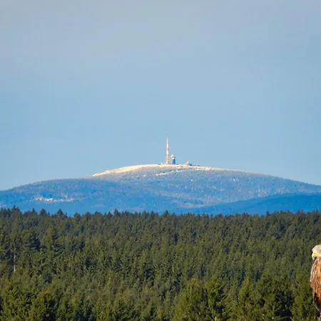 Ferienhaus Auerhahn Auerhahn 403 Hahnenkopf