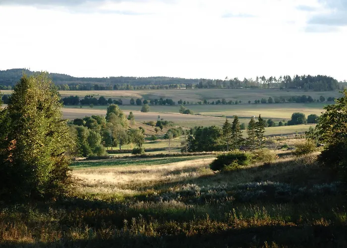 度假居 Auerhahn Ferienhaeuser Auerhahn 403 *