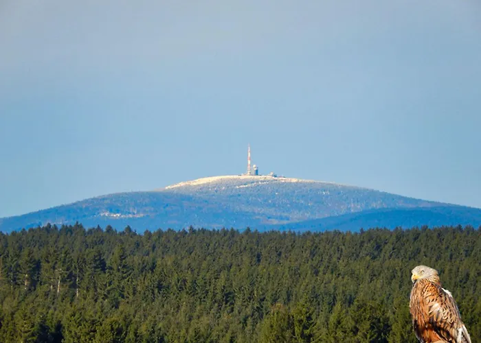 度假居 Auerhahn Ferienhaeuser Auerhahn 403 Hahnenkopf